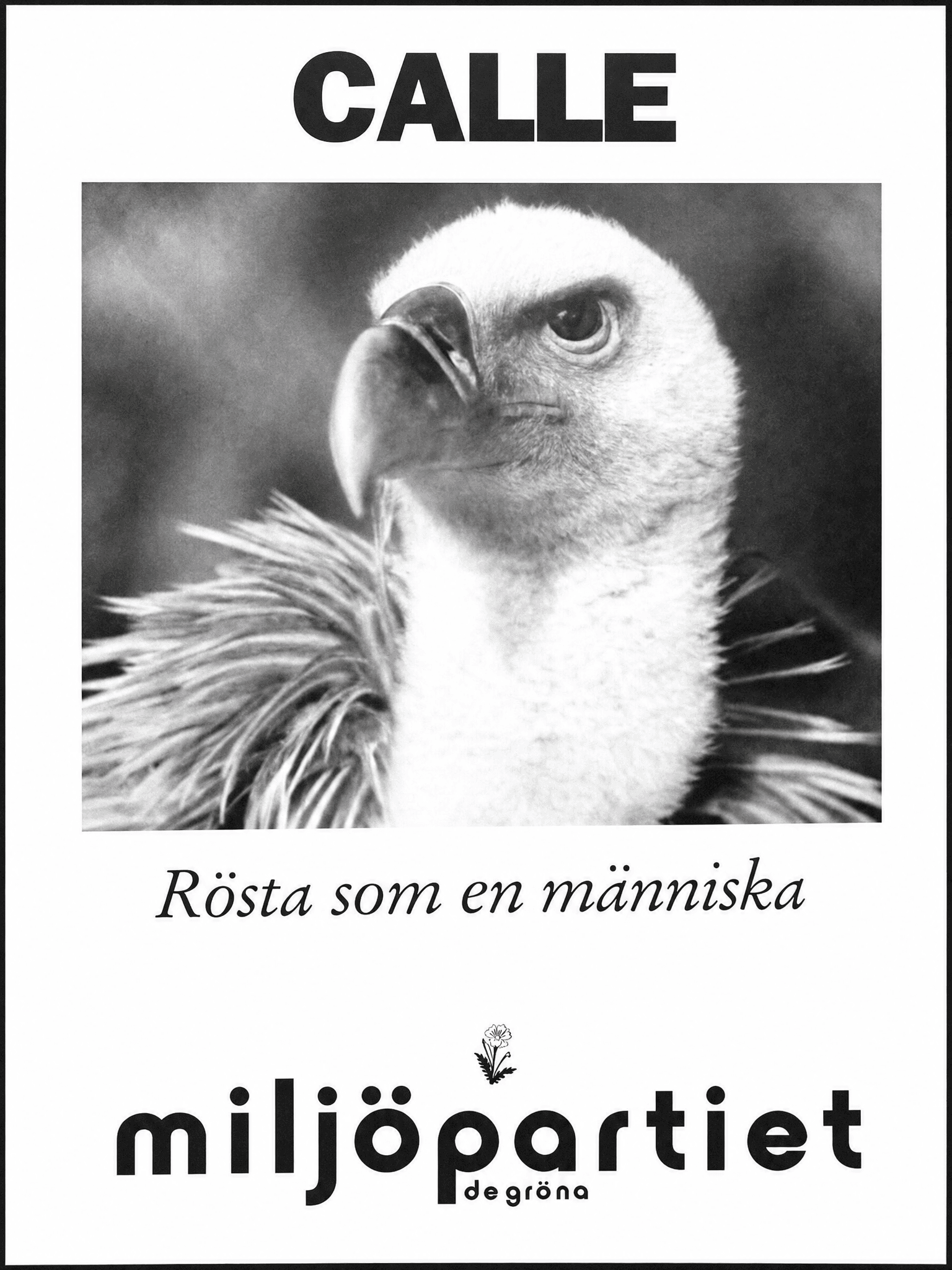 Rösta som en människa
