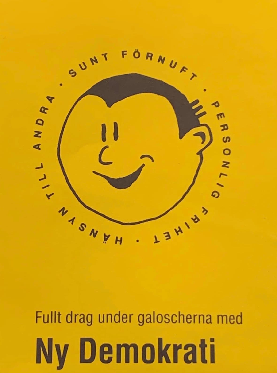 Fullt drag under galoscherna med Ny Demokrati